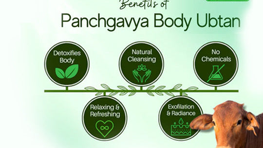 What Are Panchagavya Products? The Ancient Secret You Need to Know 🌟