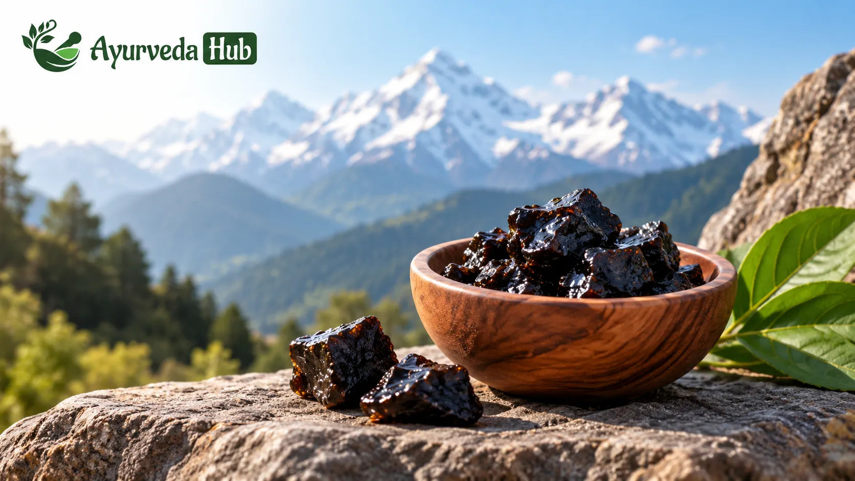 Shilajit Benefits What Happens When You Take It Every Day